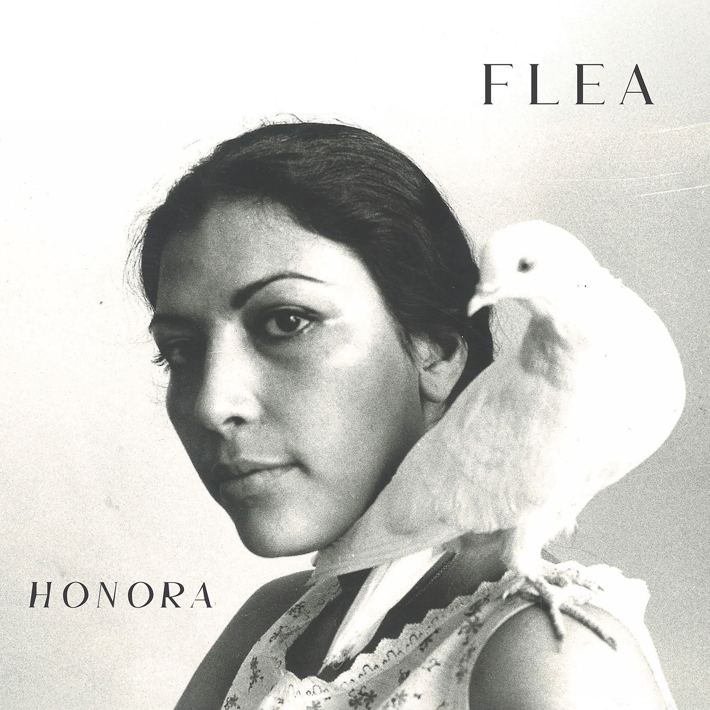 Honora MP3 Album