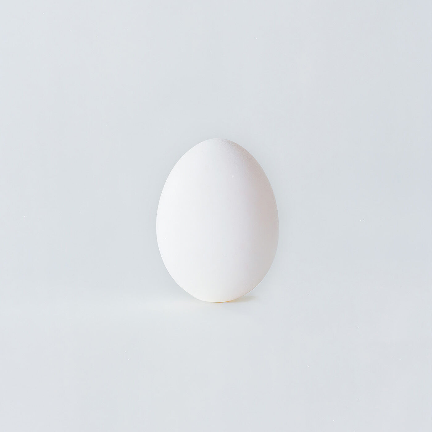 A Ghost Is Born (Deluxe Edition) 9CD + MP3 Bundle