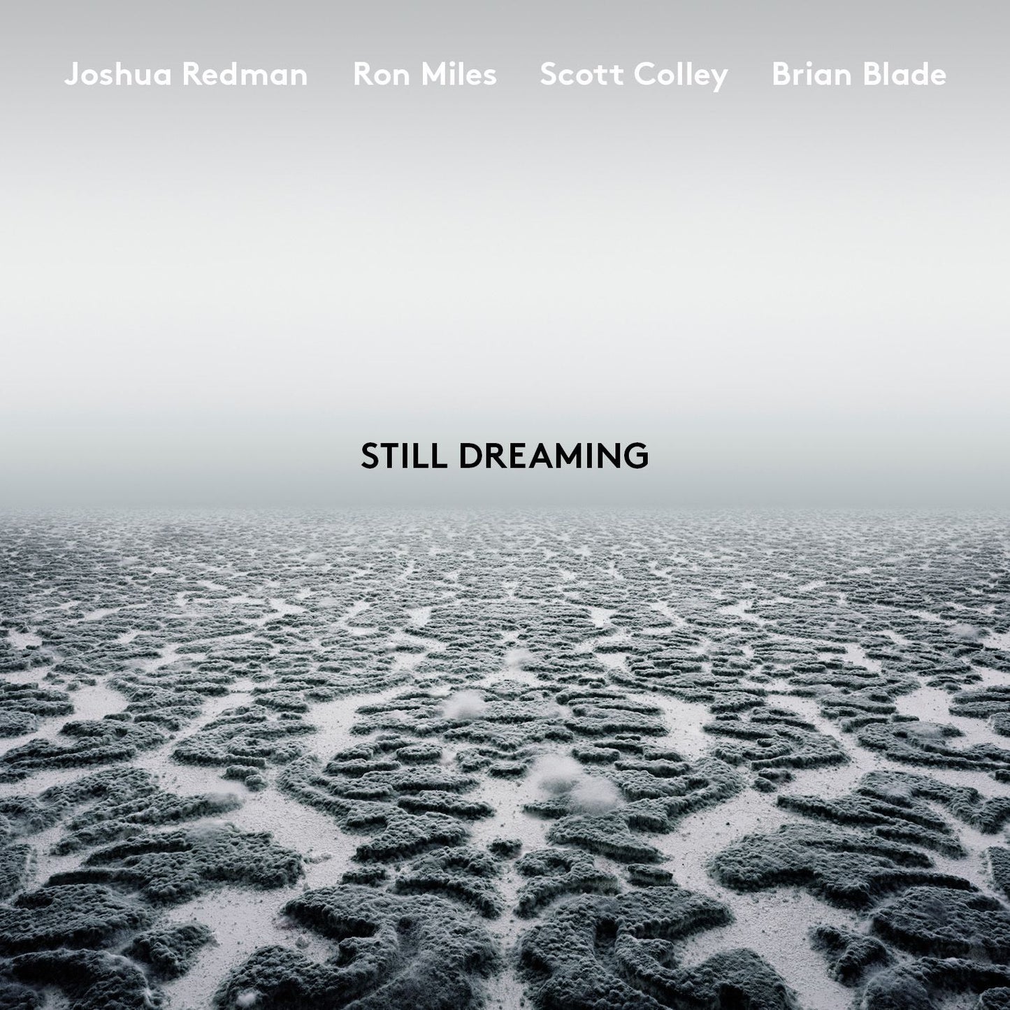 Still Dreaming Digital MP3 Album
