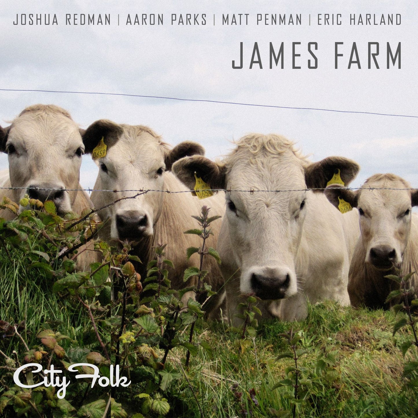 City Folk Digital HD FLAC Album (96kHz/24bit)