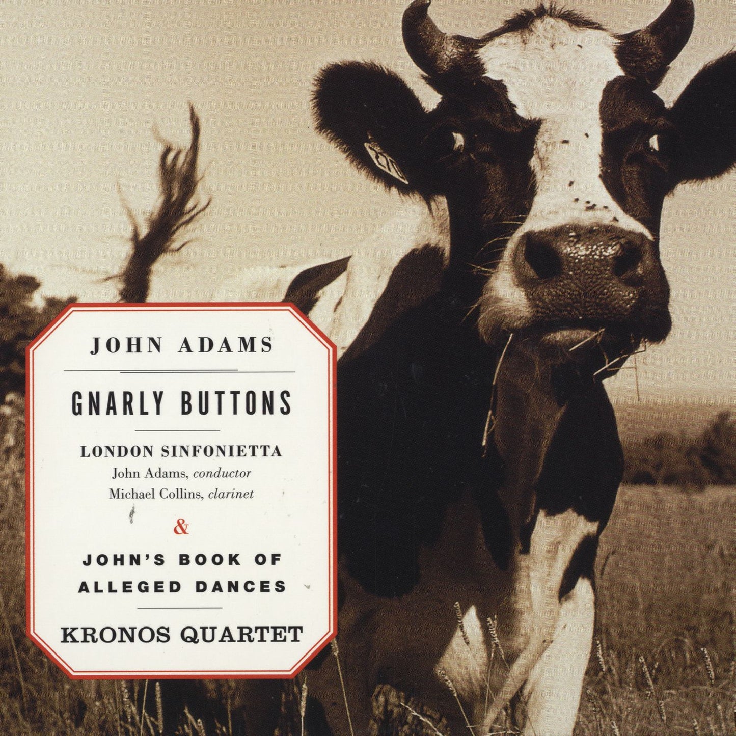 Gnarly Buttons / John's Book of Alleged Dances Digital MP3 Album
