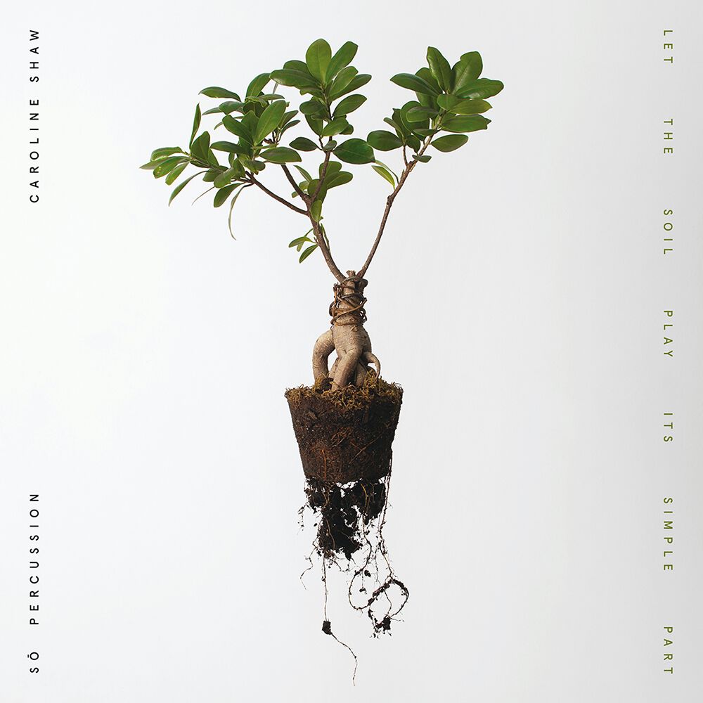 Let the Soil Play Its Simple Part CD + MP3 Bundle