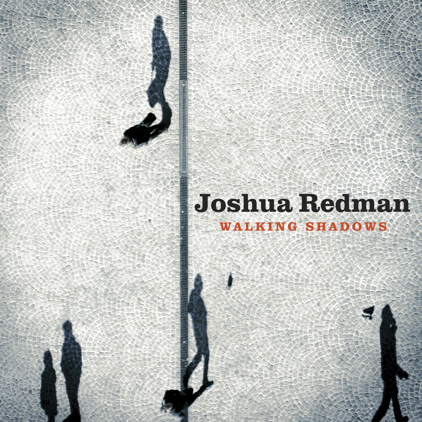 Walking Shadows CD + MP3 Bundle