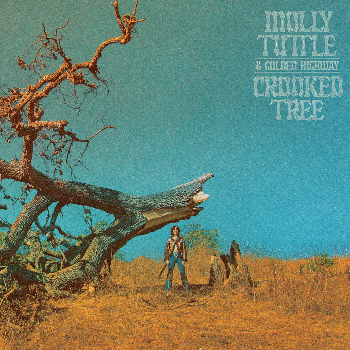 Crooked Tree (Deluxe Edition) HD FLAC Album (96kHz/24bit) – Nonesuch
