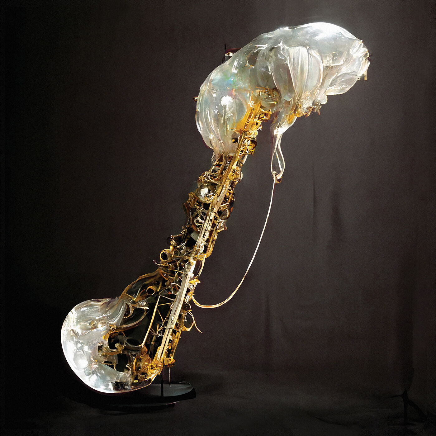 COOKUP CD + MP3 Bundle