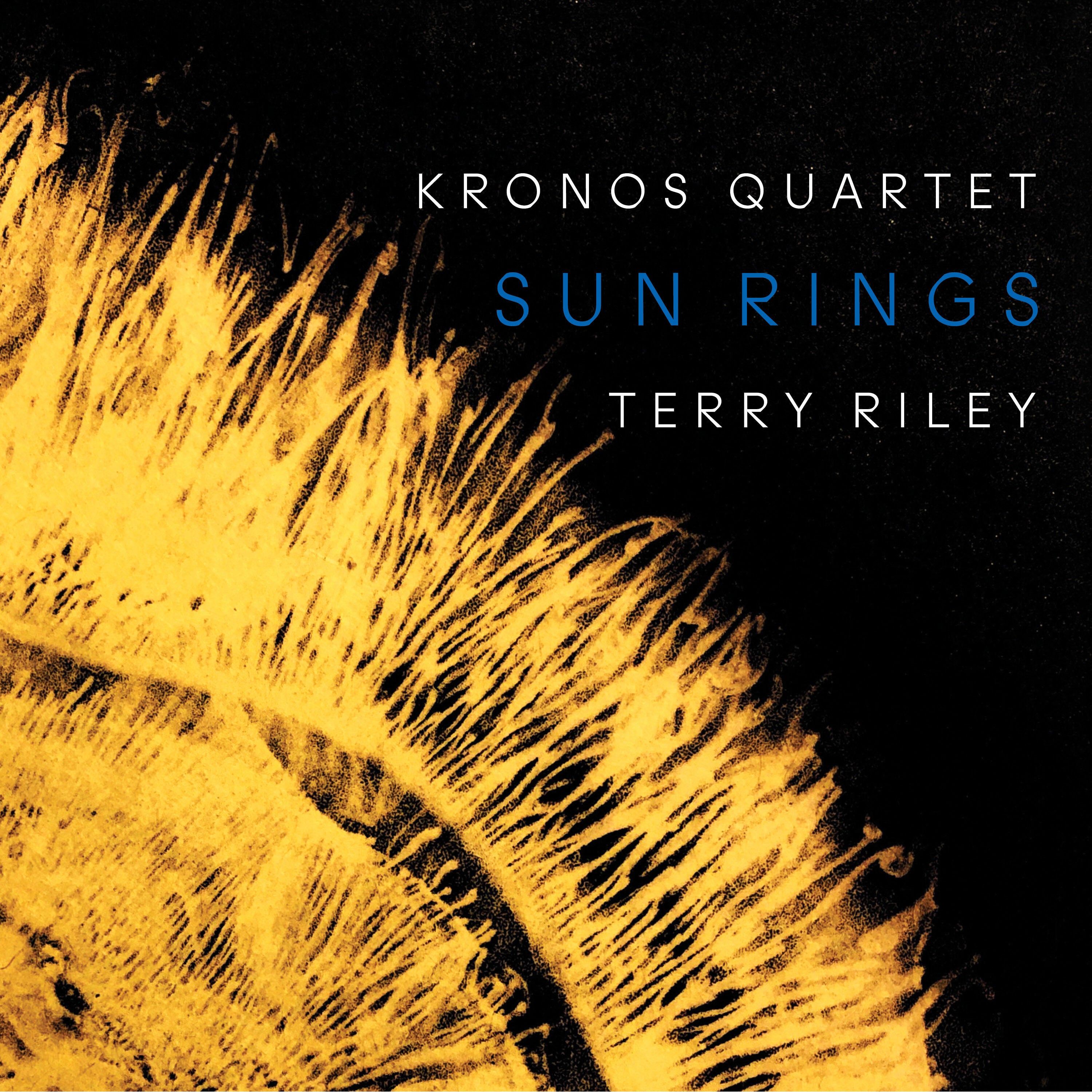 Terry Riley: Sun Rings Digital FLAC Album – Nonesuch