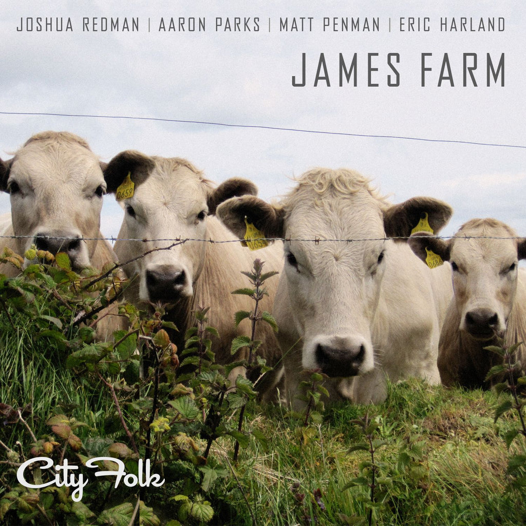 City Folk Digital MP3 Album
