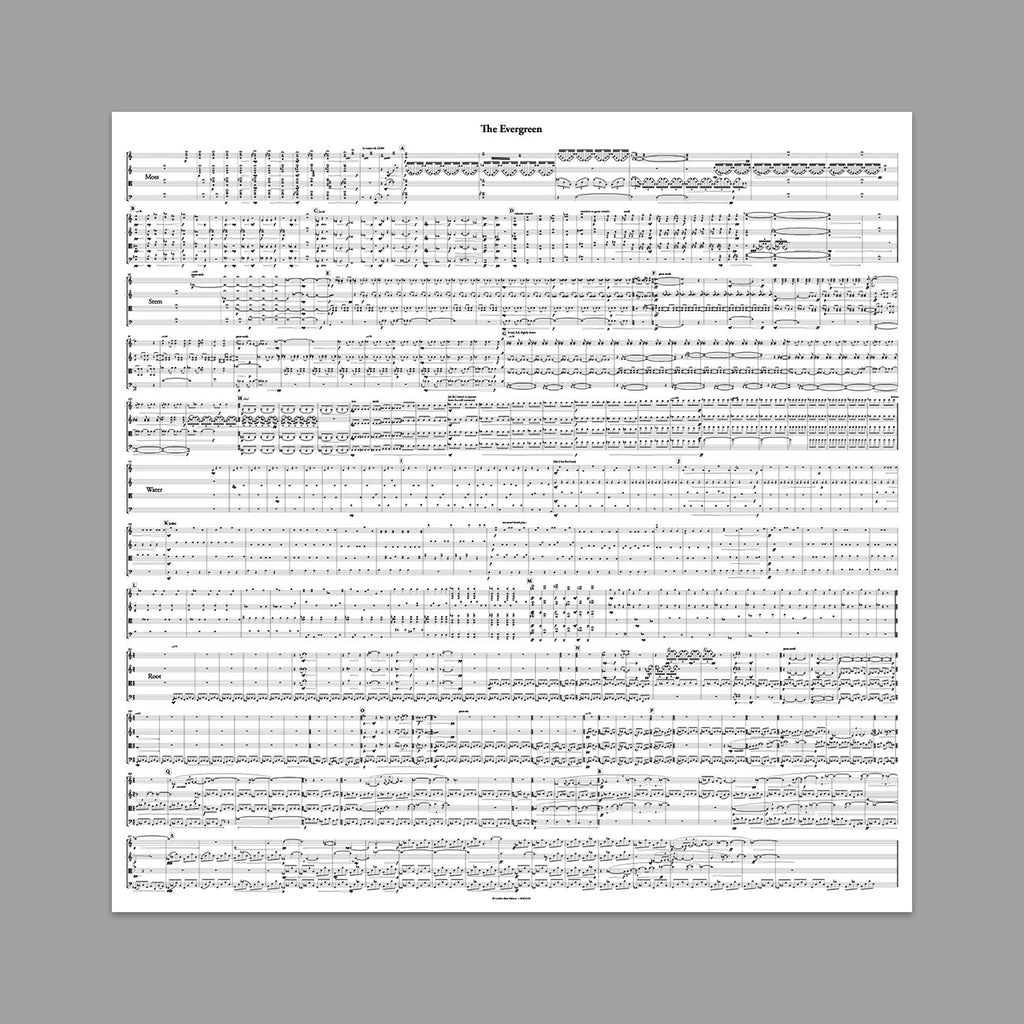 Evergreen CD + MP3 Bundle