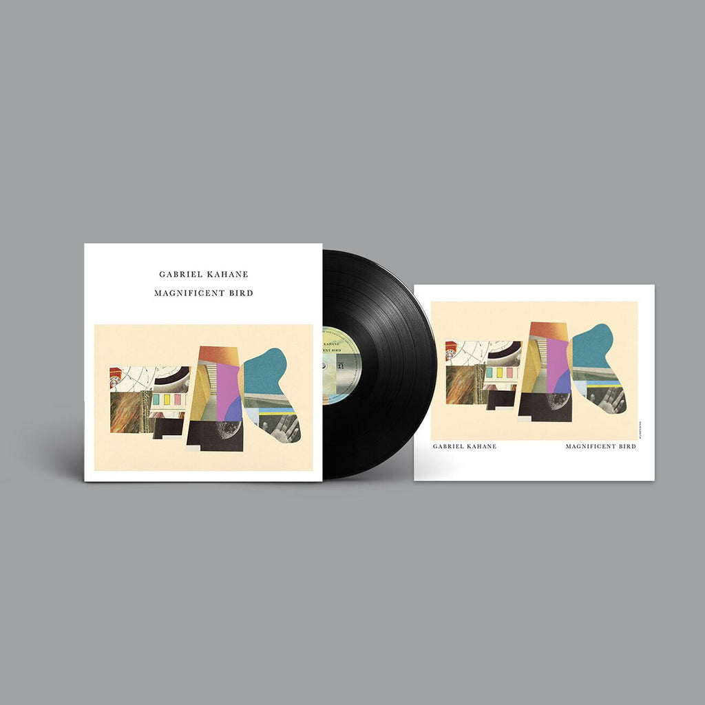 Magnificent Bird LP + MP3 bundle