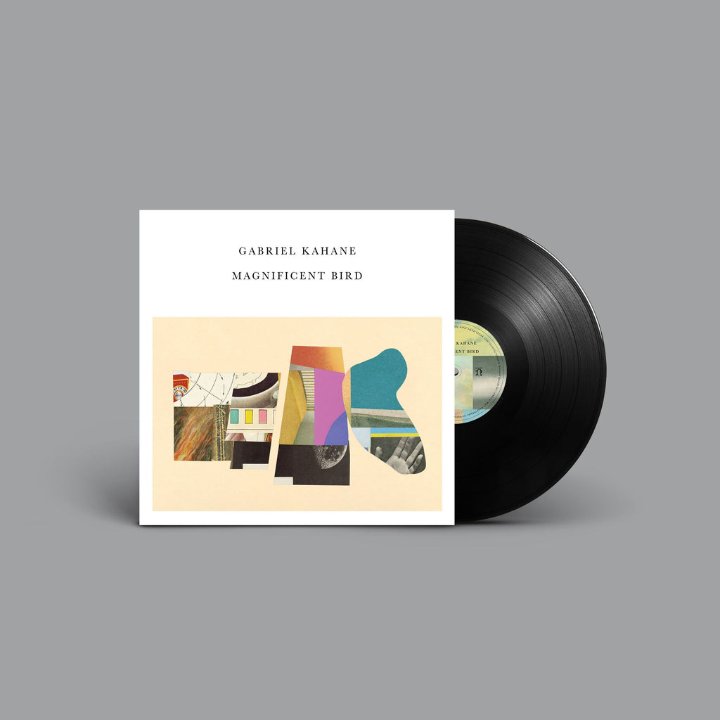 Magnificent Bird LP + MP3 bundle