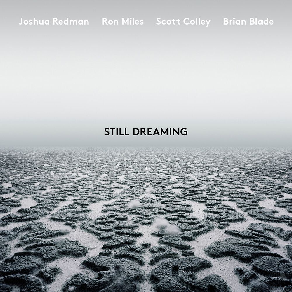 Still Dreaming LP + MP3 Bundle