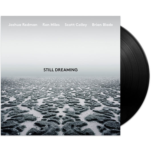 Still Dreaming LP + MP3 Bundle
