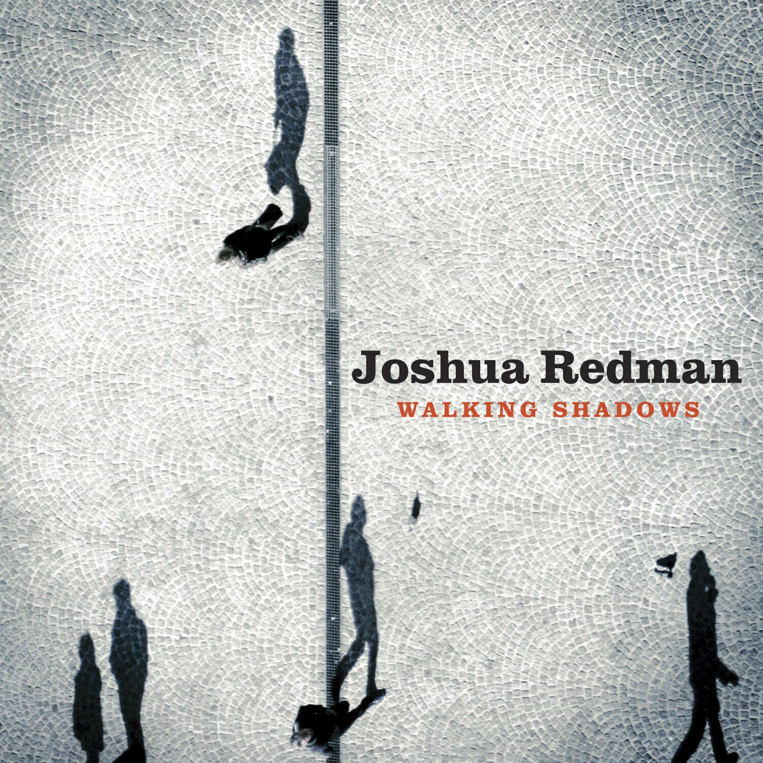 Walking Shadows CD + MP3 Bundle