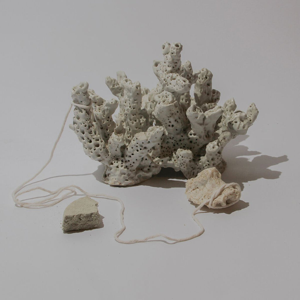 Dia / Phonolydian HD FLAC Single (44kHz/24bit)