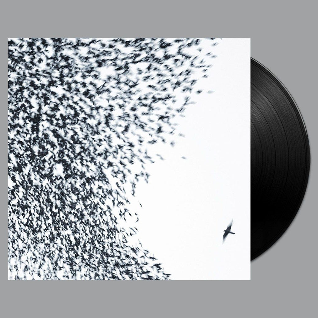 Sky Blue Sky LP + MP3 Bundle