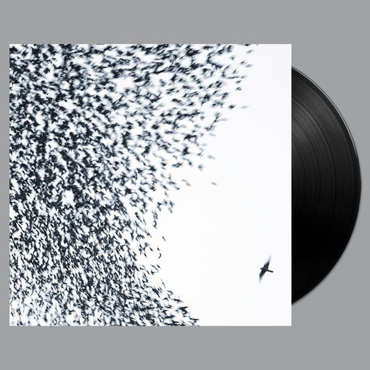 Sky Blue Sky LP + MP3 Bundle