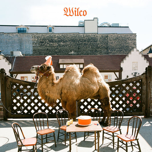 Wilco (the album) Digital MP3 Album