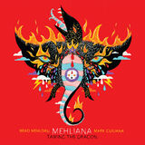 Mehliana: Taming the Dragon Digital Album