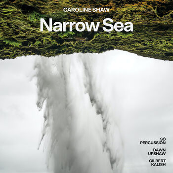 Narrow Sea HD Digital FLAC Album (96kHz/24bit)